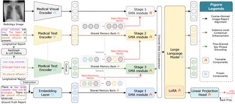 S2D-Align: Shallow-to-Deep Auxiliary Learning for Anatomically-Grounded Radiology Report Generation